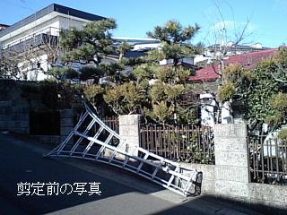 f0031037_17464884.jpg