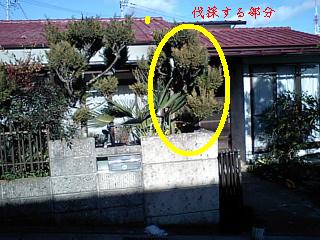 f0031037_17473337.jpg