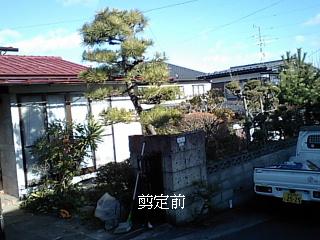 f0031037_1747839.jpg