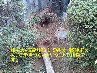 f0031037_17484925.jpg