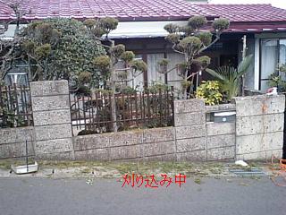 f0031037_17492799.jpg