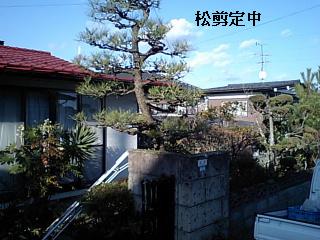 f0031037_17493939.jpg