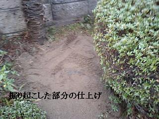 f0031037_1749757.jpg