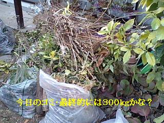 f0031037_1751532.jpg