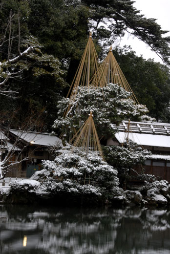 雪の兼六園(Ⅰ)_c0093046_7222943.jpg