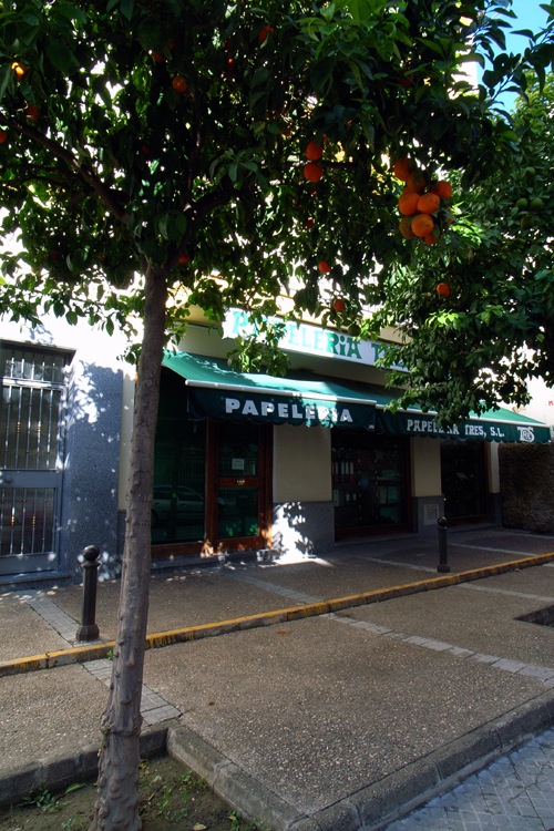 e0100152_70349.jpg