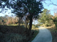 c0108460_14192286.jpg