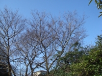 c0108460_14203161.jpg