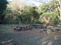 c0108460_14205842.jpg
