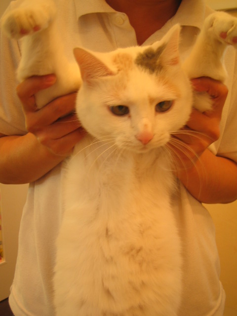 びふぉーあふたー_f0150073_20585047.jpg