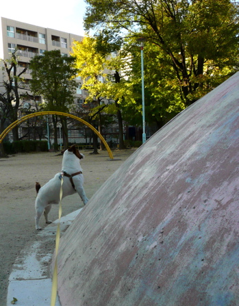 f0146198_119255.jpg