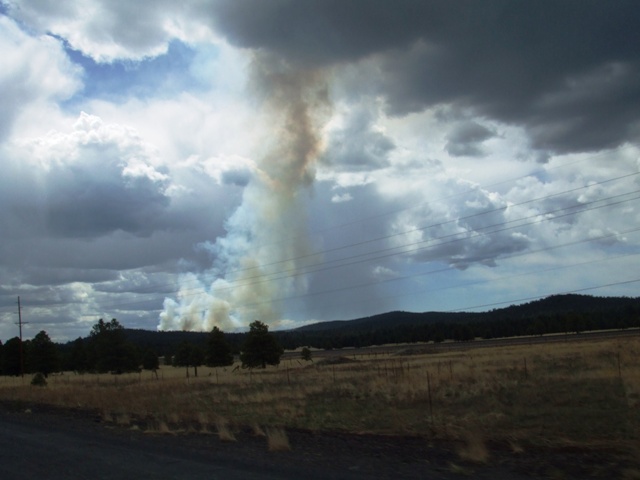 c0062603_9482440.jpg