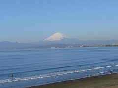 新江ノ島水族館_d0115106_1051694.jpg