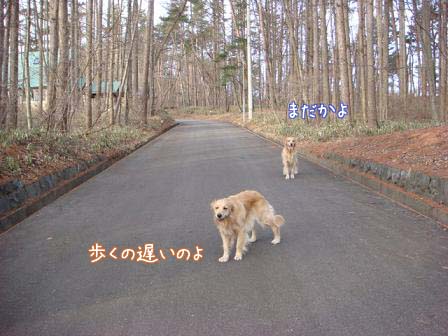 メイ家に入ると_f0064906_20141935.jpg