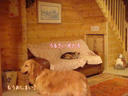 メイ家に入ると_f0064906_20213679.jpg