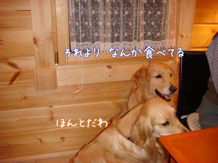 メイ家に入ると_f0064906_20253688.jpg