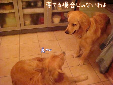 メイ家に入ると_f0064906_20333993.jpg