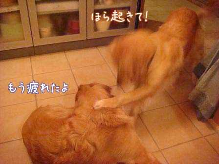 メイ家に入ると_f0064906_20335738.jpg