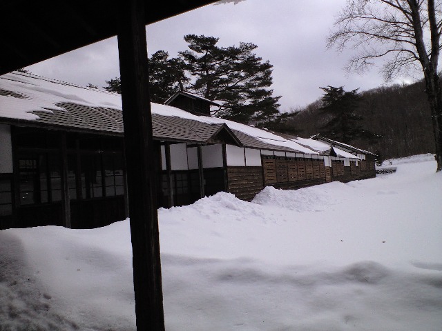 寒干し大根つくり_d0099708_1920221.jpg