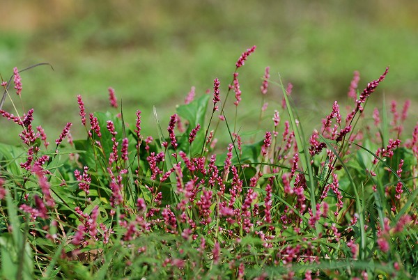 c0027027_23481537.jpg