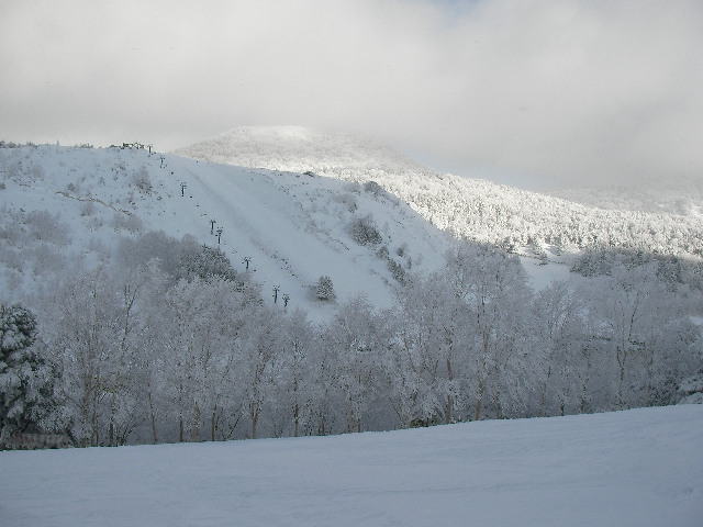 １月１３・１４日滋賀県技術選　笠岳_e0089227_19245145.jpg