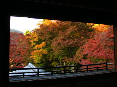 遅ればせながら八瀬　瑠璃光院の紅葉を♪_f0054428_15514.jpg