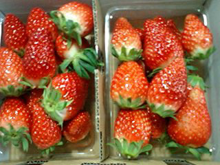 f0130030_23232494.jpg