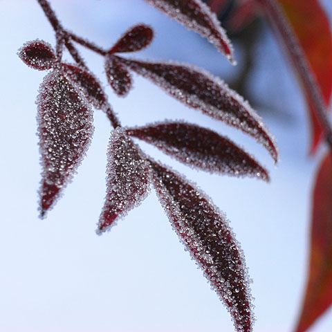 c0067040_2135431.jpg