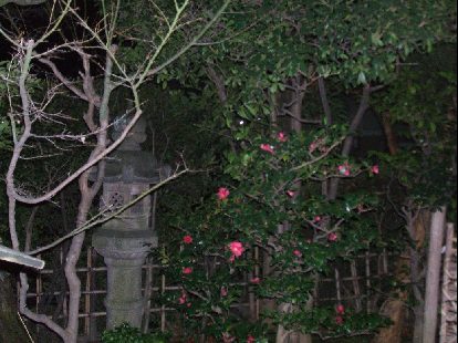 f0079343_66046.jpg