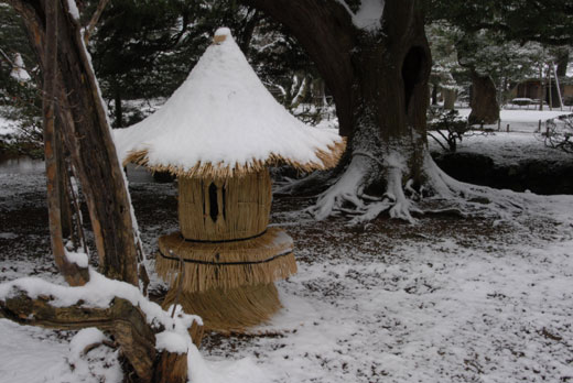 雪の兼六園(Ⅱ)_c0093046_714062.jpg