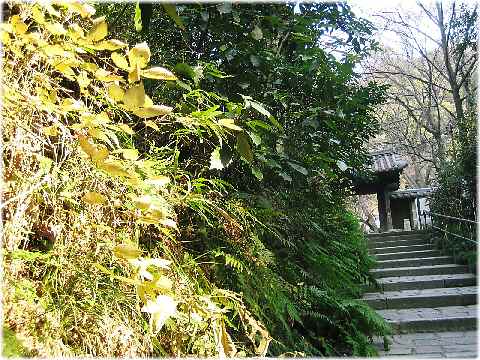 【寒中の瑞泉寺】_b0009849_17532033.jpg