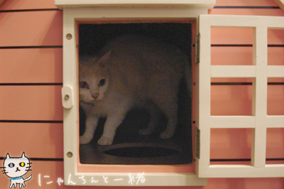 つもりハイランと、つられハイラン_e0031853_13381265.jpg
