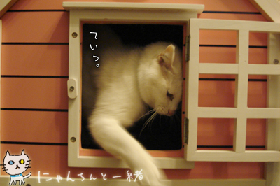 つもりハイランと、つられハイラン_e0031853_1339154.jpg