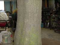 f0159054_1012376.jpg