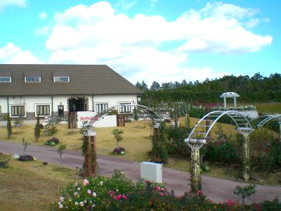 かのやばら園_a0094959_23164497.jpg