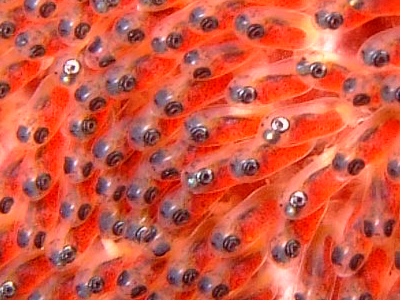 d0113459_20395046.jpg