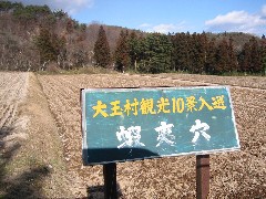 a0087378_355575.jpg