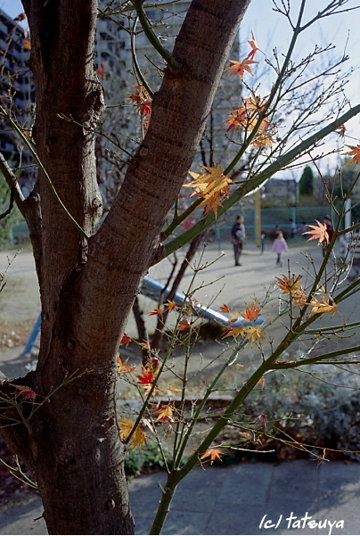 f0139991_22171780.jpg