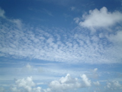 d0129199_2193229.jpg