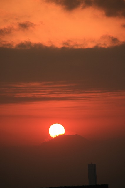 e0031502_1250646.jpg