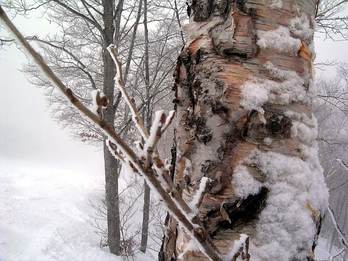c0078410_016542.jpg
