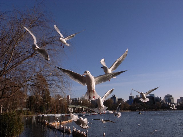 c0071611_9192085.jpg