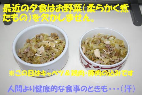 f0121712_1651437.jpg