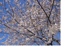 d0019913_16475483.gif