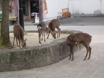 尾道〜広島センチメンタル・ジャーニー　Part4_c0135618_23513259.jpg