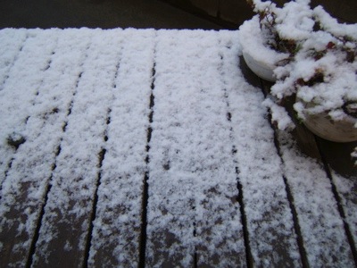 見慣れた町に白い雪が_c0004024_7162074.jpg