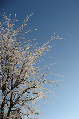 c0024729_2233437.jpg