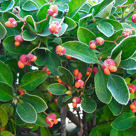 c0067040_22192854.jpg