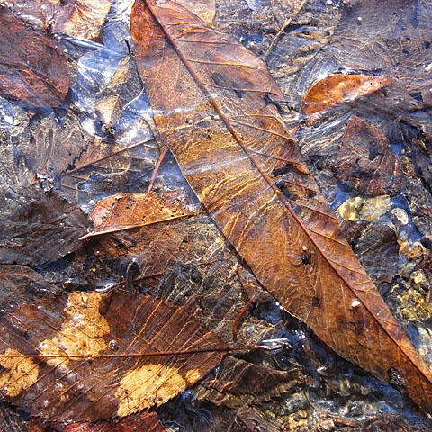 c0067040_22224483.jpg