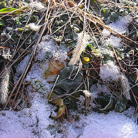 c0067040_22245915.jpg